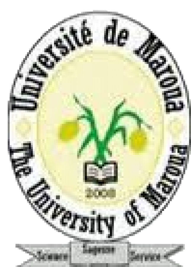 Université de Maroua
